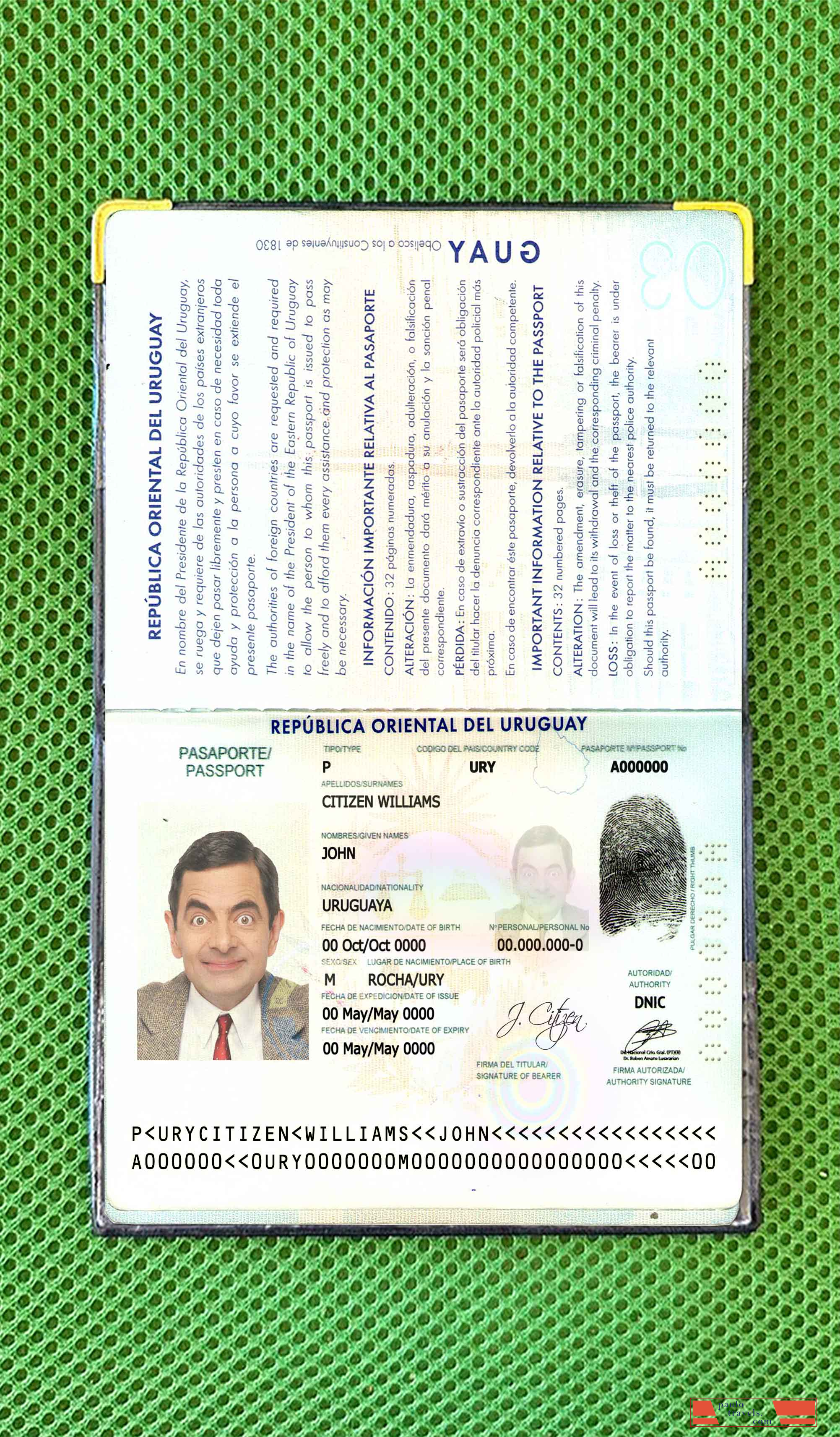 Uruguay passport photo look PSD template